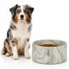 Flamingo Baron Ceramic Dog Bowl, Round, 750 ml, Green view 1