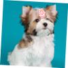 Supvox 10-Piece Pink Pet Hair Ties for Dogs and Cats, Gentle view 2