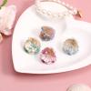 WRITWAA Shell Hair Accessories, 4 Small Acetate Claw Clips with Shell Appliques for Women and Teens view 4