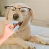 Polyester Finger Toothbrushes, 10 Count, for Dogs and Cats view 4