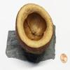 Natural Chapeuzinho Feeding Bowl on Slate Plate, 6-8 cm view 1