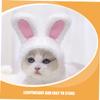 Abaodam Cute White Pet Hat with Bunny Ears view 3