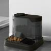 Automatic Cat Feeder with Large Capacity view 3