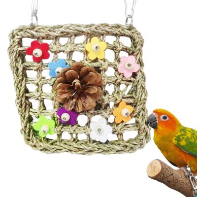 Bird Toy for Conures - Colorful Natural Cage Accessory