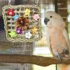 Bird Toy for Conures - Colorful Natural Cage Accessory view 3