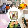 Bird Toy for Conures - Colorful Natural Cage Accessory view 4