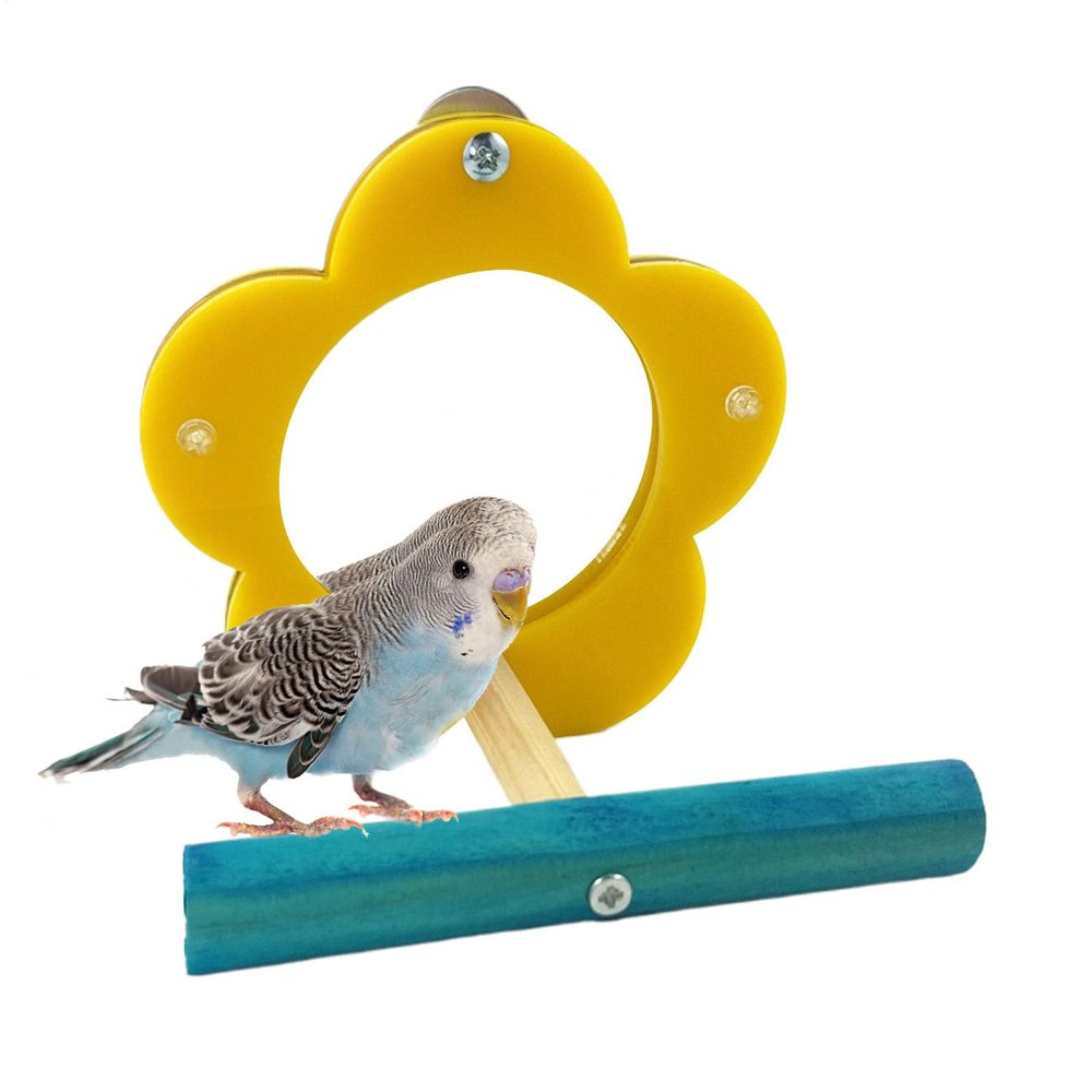 Bird Cage Mirror for Parakeets and Cockatiels