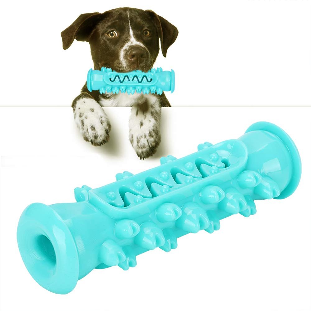 Dog Toothbrush Chew Toy