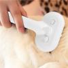 Pet Grooming Brush with Spray Function for Cats and Dogs view 3