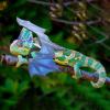MILISTEN Reptile Harness with Wing Design view 3