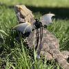 Adjustable Harness and Leash for Amphibians and Small Pets view 2