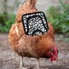 Chicken Saddle with Adjustable Elastic view 2