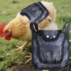Chicken Saddle for Outdoor Use view 3