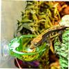 EXAOMBLE 4-Pack Lizard Bowls with Suction Cups view 3