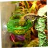 EXAOMBLE 4-Pack Lizard Bowls with Suction Cups view 4