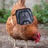 Chicken Saddle | Adjustable Strap, Full Coverage view 2