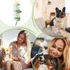 Hamster Water Bottle, Wall-Mounted, Leak-Proof, 25 x 10 x 10 cm view 3