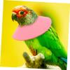 Milisten Parrot Collar view 4