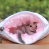 Sugar Glider Bonding Pouch, Activity and Sleep Sack view 2