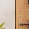 Pet Doorbell for Dogs and Cats view 3