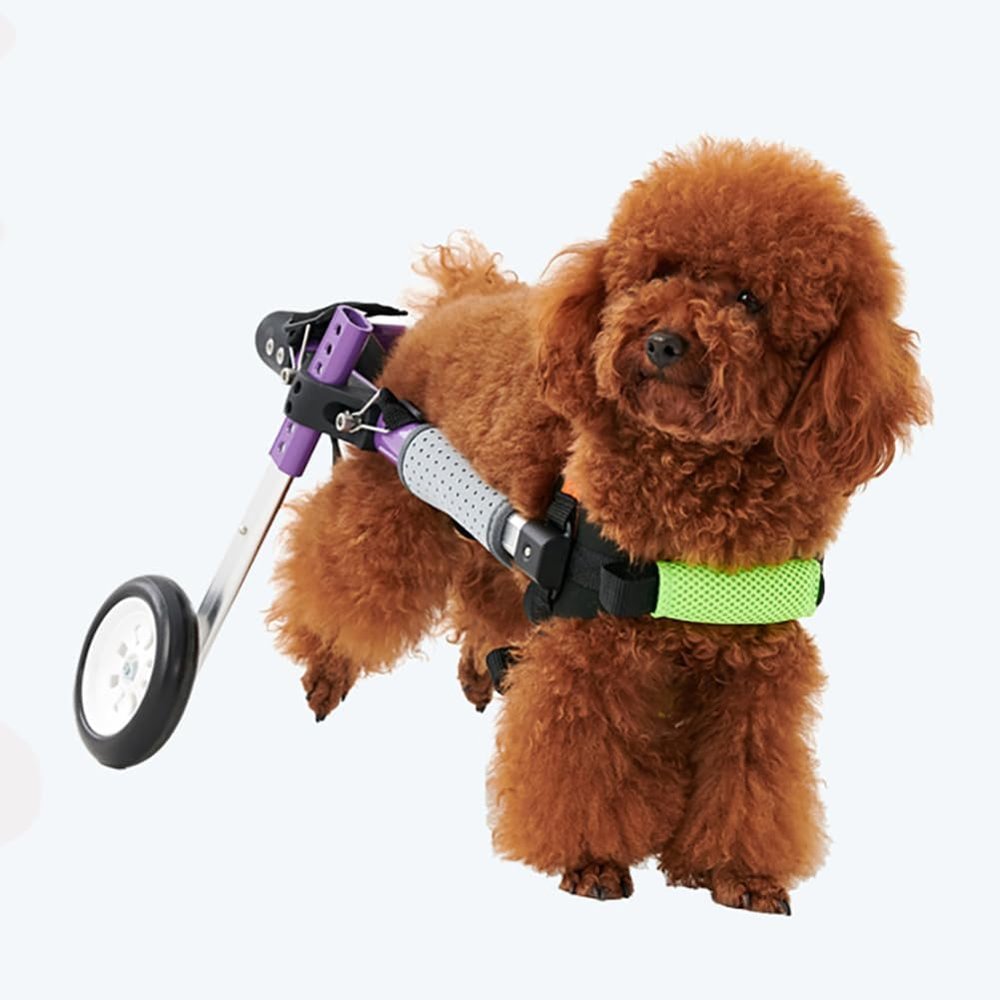 Dog Wheelchair for Hind Legs, Two-Wheel Design with Adjustable Height