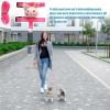 Dog Harness Set with Leash Holder view 4