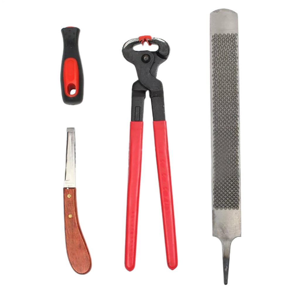 3-Piece Hoof Rasp Set for Horses