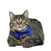Abaodam Pet Birthday Hat and Bowtie Set - 2 Pieces in Blue view 3