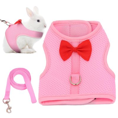 Rabbit Harness and Leash Set