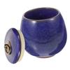 ibasenice Ceramic Memorial Urn for Pet Ashes, 150 ml, Blue, Compact view 1