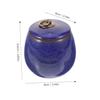 ibasenice Ceramic Memorial Urn for Pet Ashes, 150 ml, Blue, Compact view 2
