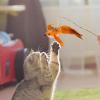 Generic Cat Toy Feather Refills, Replacement Cat Toy Wands view 2