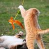 Generic Cat Toy Feather Refills, Replacement Cat Toy Wands view 3