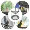 Bird Water Feeder view 3