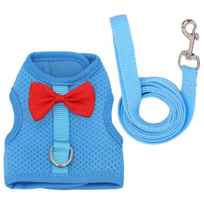 Rabbit Harness, Guinea Pig | Breathable Small Animal Harness Set