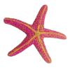 Hexagonal Aquarium Decoration with Artificial Starfish view 1