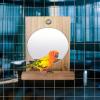 Bird Perch with Mirror and Stand | Interactive Wooden Toy for Parrots, Canaries, Cockatiels, and Budgerigars view 2