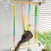 Pacchio Swing Pet Toy for Sugar Gliders view 3