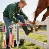Goat Hoof Trimmer Care Tool for Pony Hooves view 3