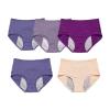 HMLSYZX Leakproof Underwear for Women 60+, 5-Pack view 1