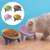 Elevated Dog Bowl Stand, 15° Inclined, Non-Slip view 2