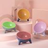 Elevated Dog Bowl Stand, 15° Inclined, Non-Slip view 4