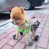 Pet Wheelchair with Adjustable Leg Support, 4-Wheel Dog Mobility Aid, Size S view 2