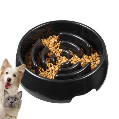 Slow Feeder Dog Bowl with Interactive Design