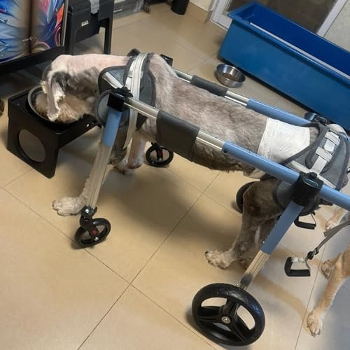4-Wheel Pet Wheelchair for Small, Medium, and Large Dogs