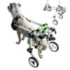Adjustable Rear-Leg Dog Wheelchair, Aluminum Mobility Cart with Support Harness and Leash, XXXS view 1
