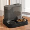 2-in-1 Automatic Cat Feeder and Water Dispenser view 3