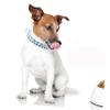 Milisten Adjustable Dog Collar view 3