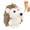 Hedgehog Dog Toy view 1