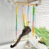 Sugar Glider Wooden Toy Interactive Chain view 3